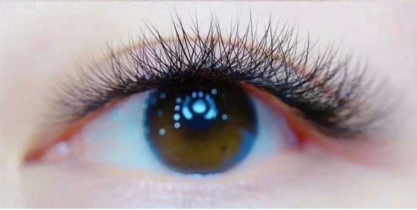 Eyelash Studio Redondo Beach, CA